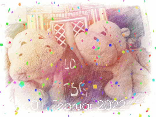 Nilis_01.gif