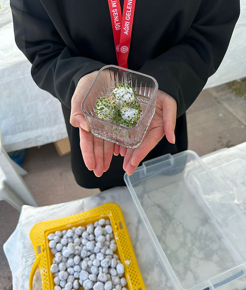 12.Esra Kaya, Melis Boztaş.jpeg