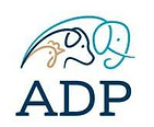 ADP logo square.jpeg