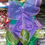 Miniatura: Hada campanilla lily