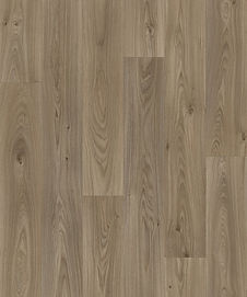 Gambel Oak 696M.jpg