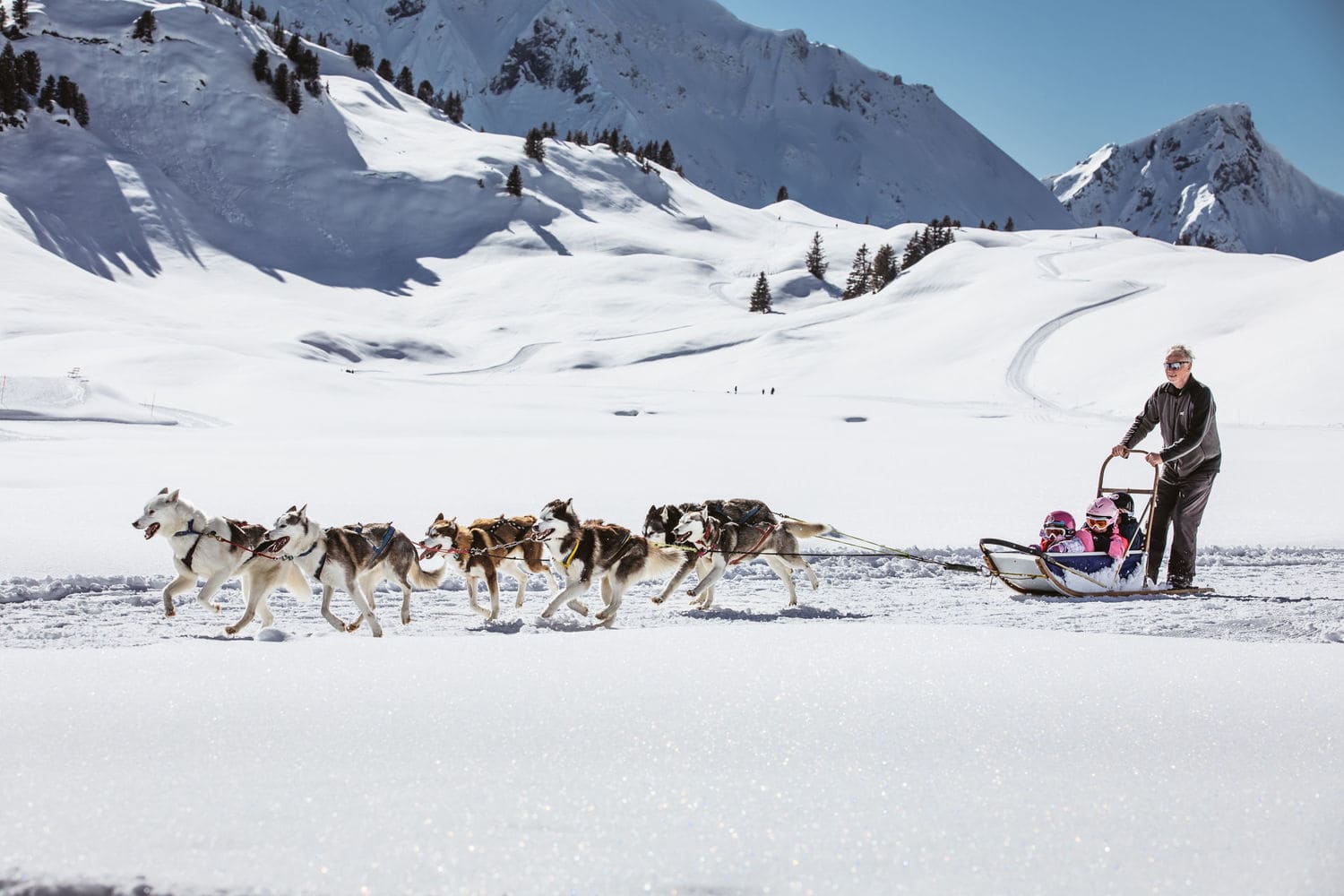 Huskyschlitten fahren