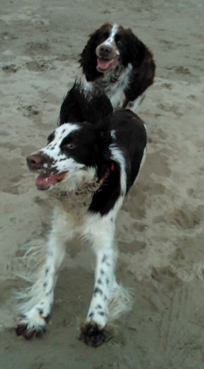 Taya Bean playing on the beach with anot
