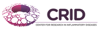 Design sem nome (20)_edited.png