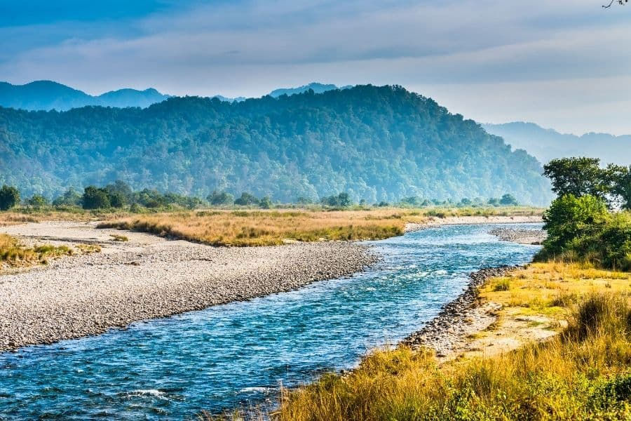 Jim Corbett Safari