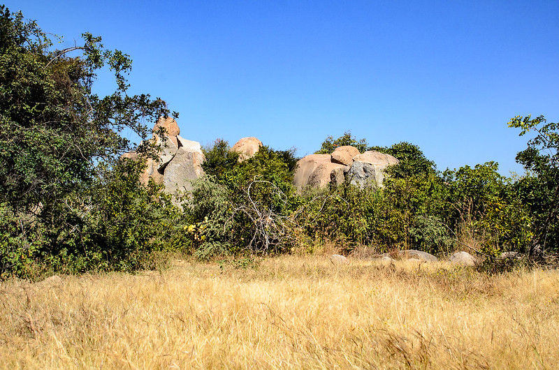 Bhogaram Forest Reserve