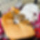 IMG_9778.jpeg