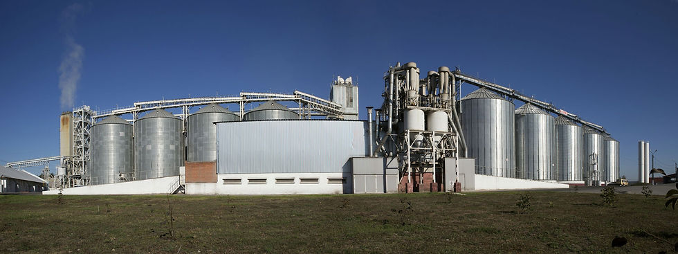 Feed Mill 3 smaller.jpg