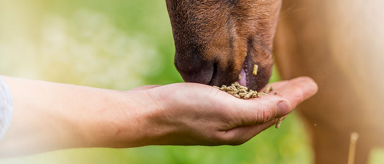 iStock-939942526.jpg