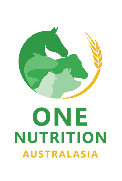One Nutrition Australasia Logo Final (Transparent) cropped 800 x 1030px.png
