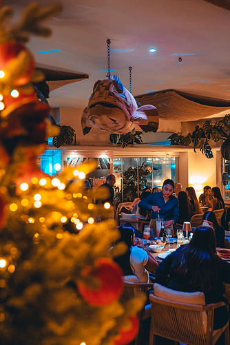 El Nautico open in winter Ibiza 21.JPEG