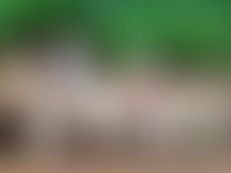 Crazy Discounts Ghostbusters model Q version of cotton candy bonsai car mini ornaments twisted egg toys - Hot Price $282.18