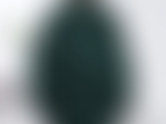 Snag Your Deal! 100% Cotton Dark Green Blouses Mori Girl Japan Style Brief Vintage Long Sleeve Turndown Collar Solid Backing Shirts Tall Tops