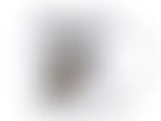 Hottest Sales Raccoon Coffee Mug I WORKOUT SO I CAN EAT GARBAGE Funny Novelty 11 Oz Ceramic Tea Milk Mugs for Friend Fitness People Drinkware - Price $8.99