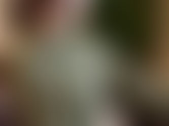 Markdowns You’ll Love New Autumn Spring Tops Women Fashion Ladies Long Sleeve Shirts Casual Chiffon Blouse 2024 Work Wear Office Blusas Femininas - Hot Price $15.37