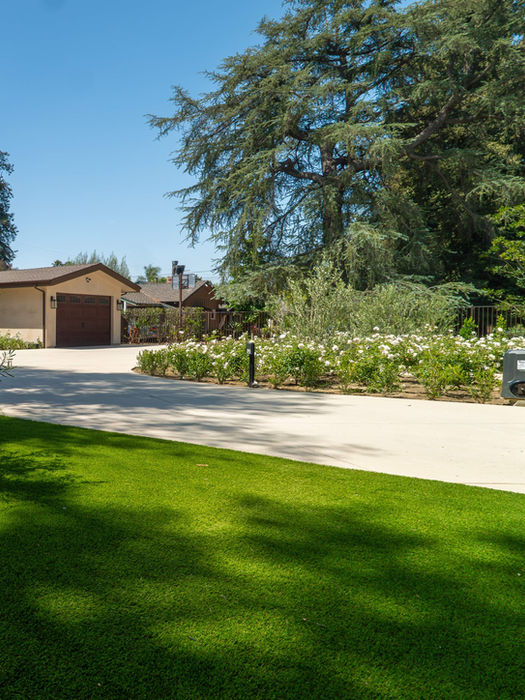 Southern California Yard Landscape