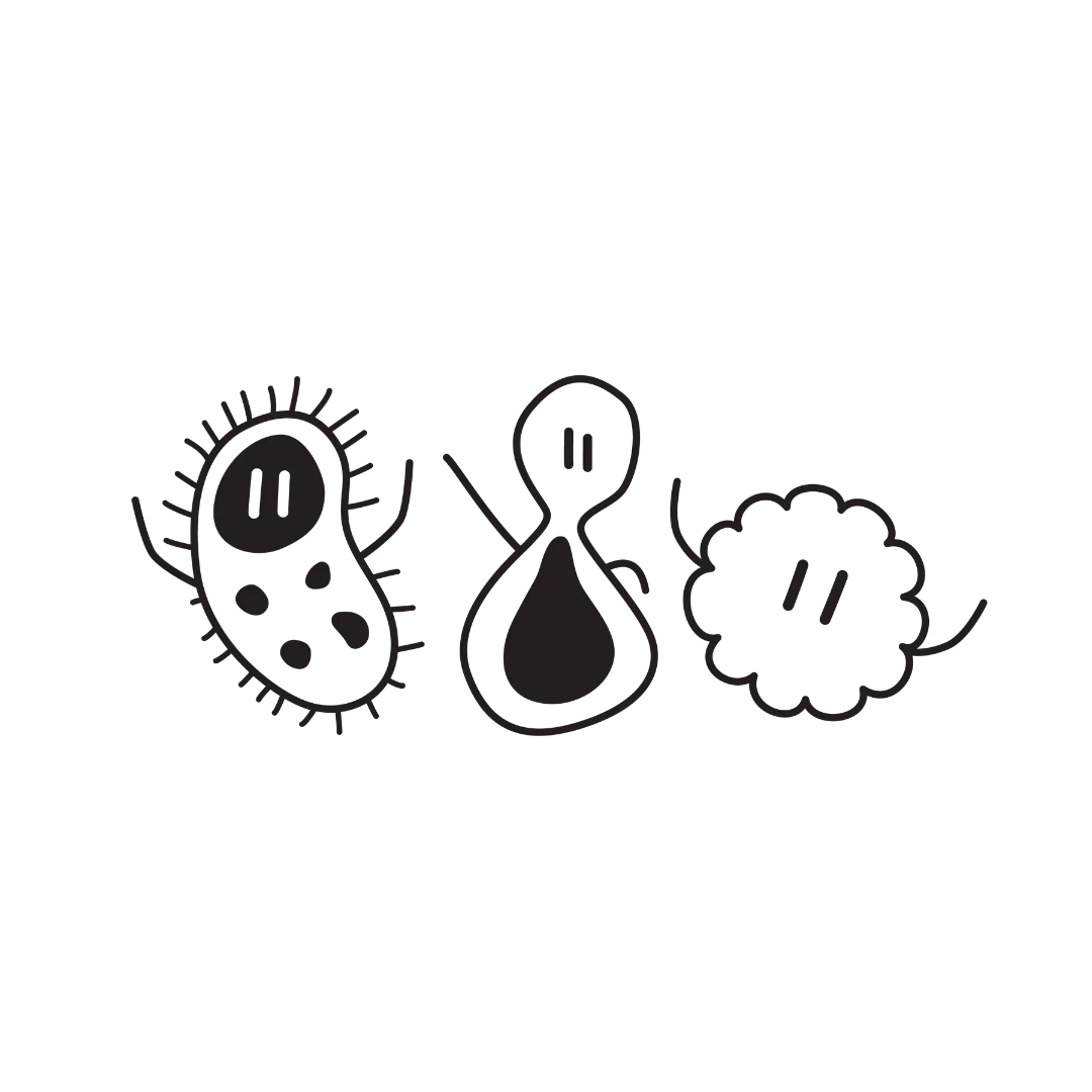 icons web.webp