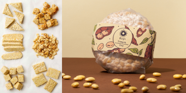 Organic soybean tempeh cut into slices and cubes