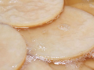What is a SCOBY? The kombucha culture explained