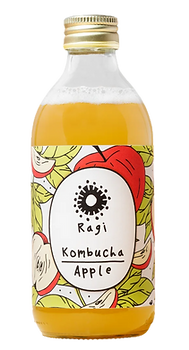 Swiss Fermented Biotic Foods Kombucha Kefir Tempeh Kimchi