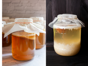 Kombucha vs Tibicos (Water Kefir): What's the Difference?