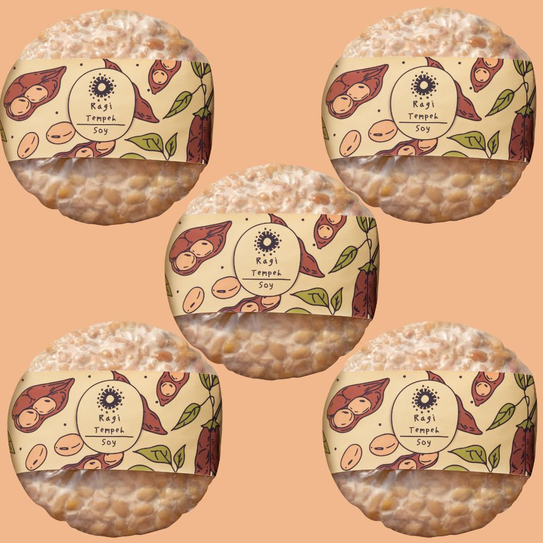 Tempeh Soy by the kg (200g x 5)