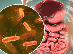 The gut microbiome: a user's manual