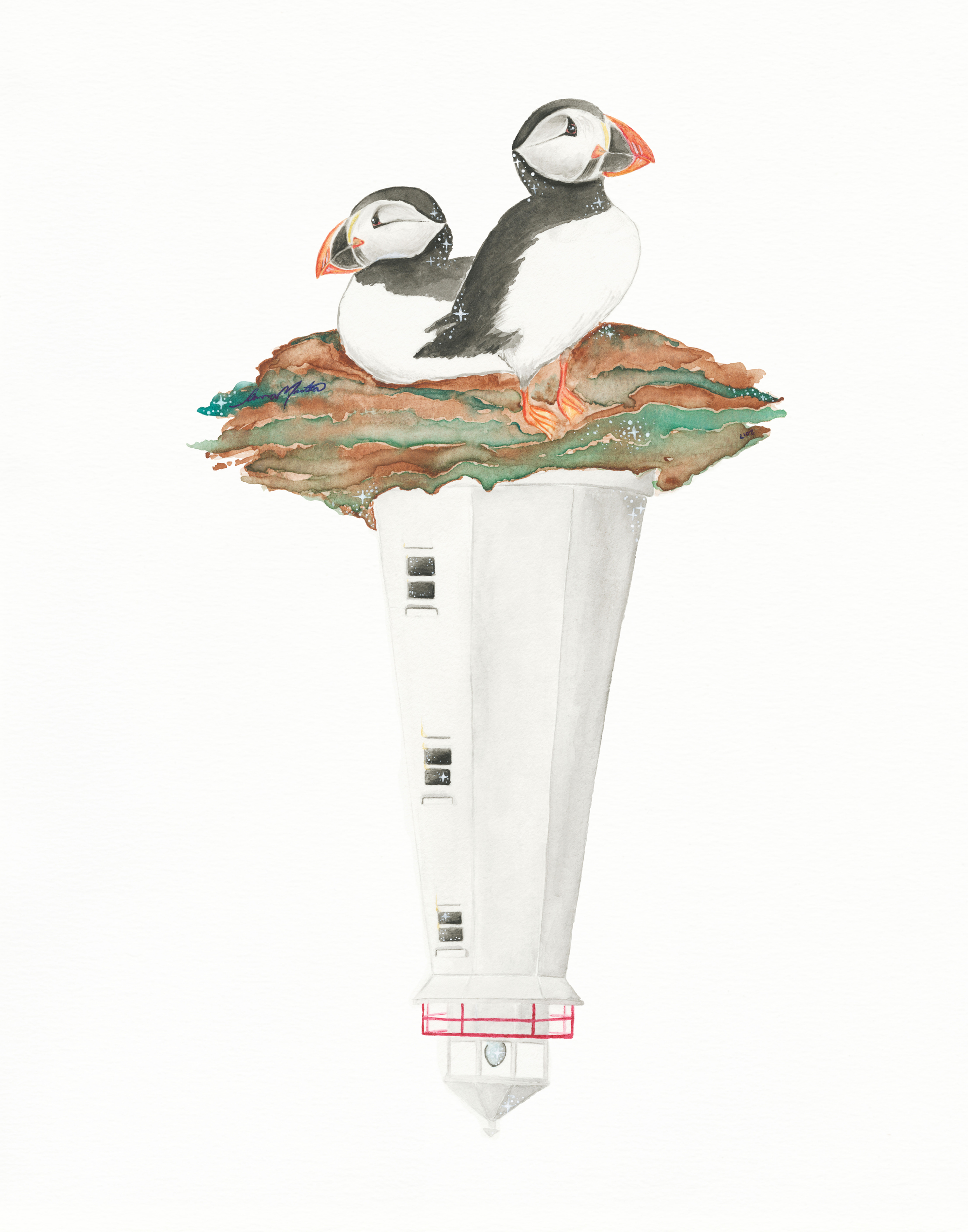 Newfoundland Puffin X Cape Spear Light House
