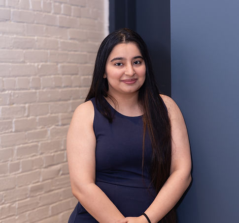 Architectural Designer