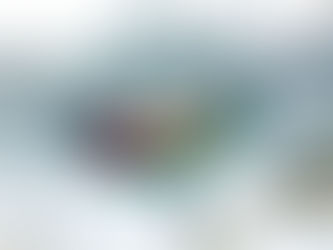 Hammock camping in winter