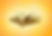 IMG_4126.jpeg