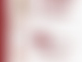 Lion Leadership Fund Endorses Lauren Daniel for Georgia State Senate District 18