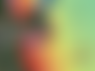 22.11.25 Weather Report