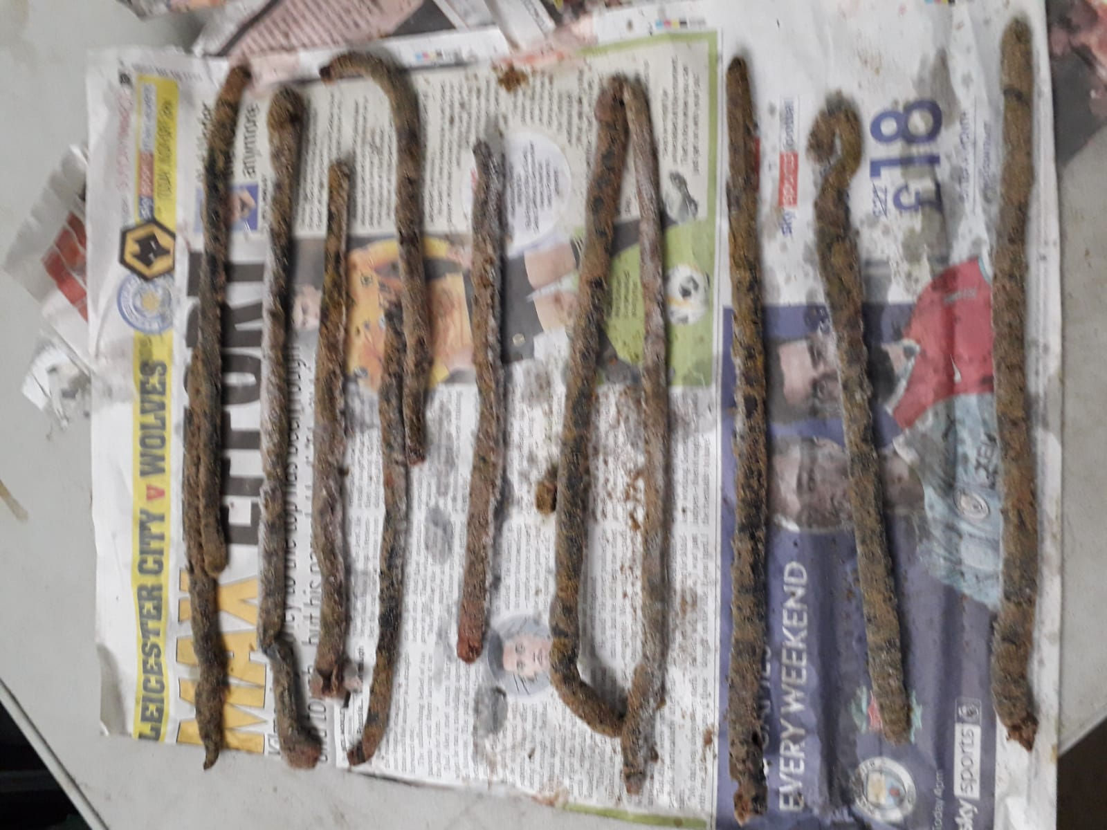 Frozen (Welsh) black lugworm