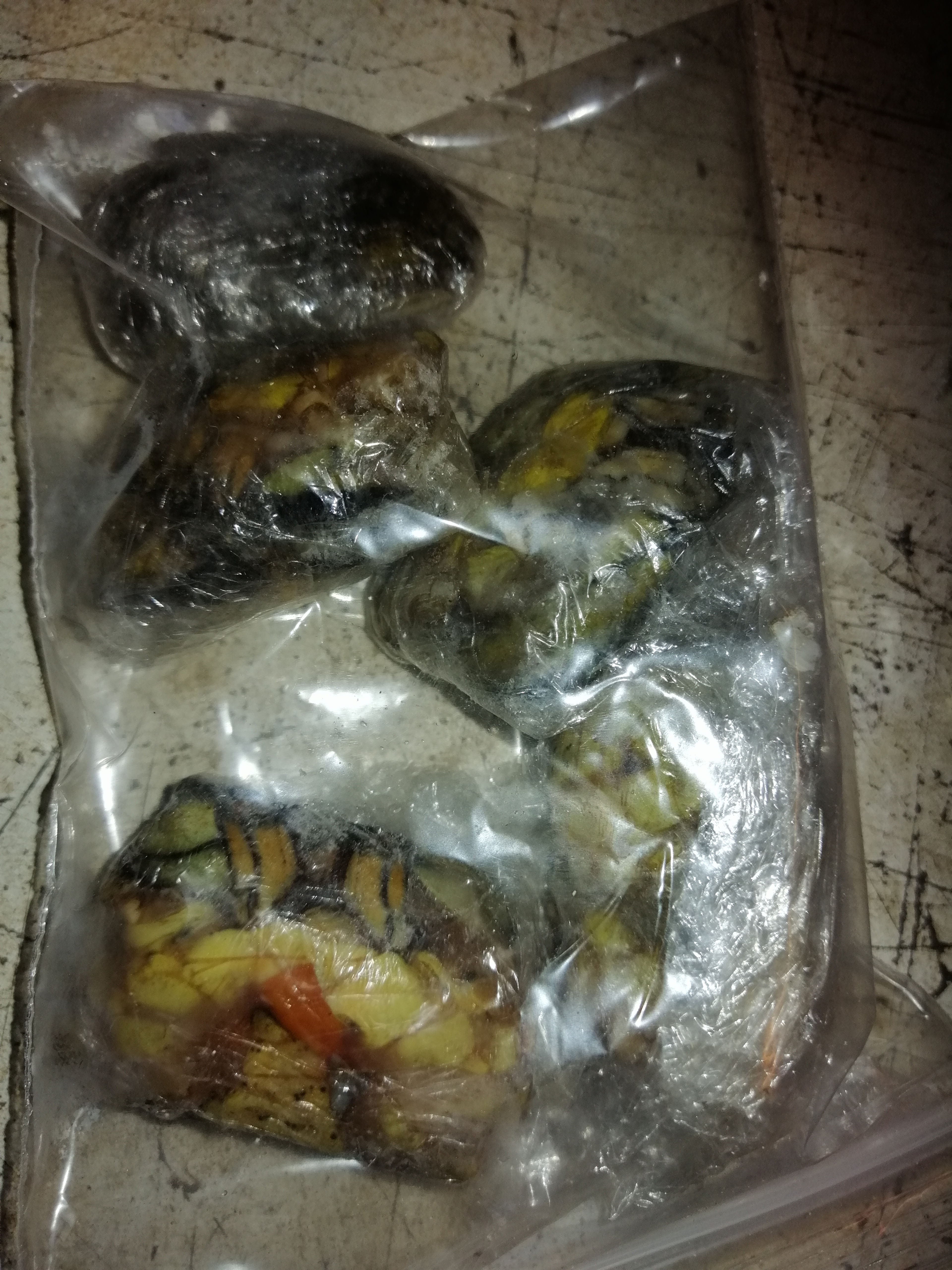 Frozen peeled and lunged peeler crabs (Green South gare crabs)