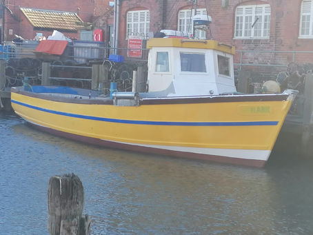 Been very busy for the last few weeks