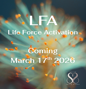 Instagram ShopStudio Posts (10 x 10 cm) - 2026-02-05T143919.176.png