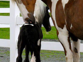 Welcome to our News section!