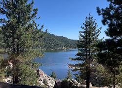 The Big Bear Lake