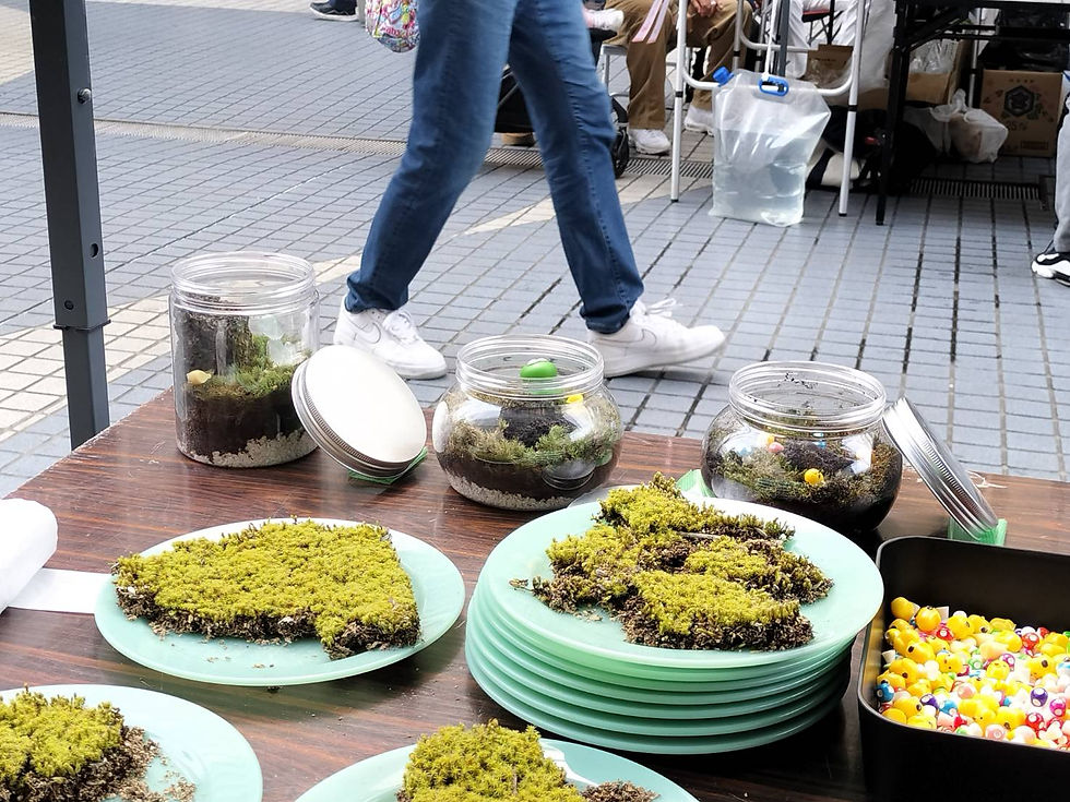 苔テラリウムワークショップ🌱