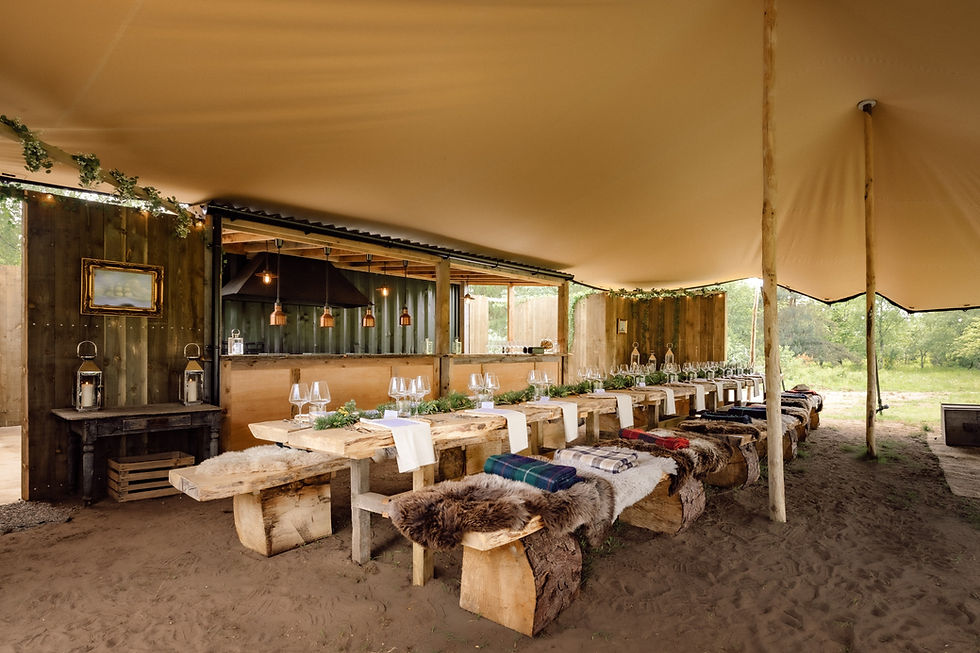 Wine safari and forest feast
