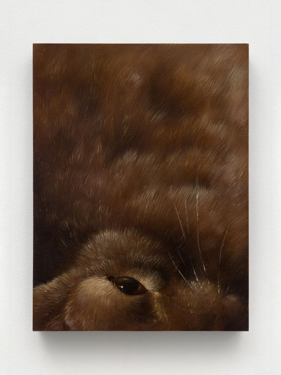 Vacancy gallery Natalia Gonzalez Martin hare painting, sill life