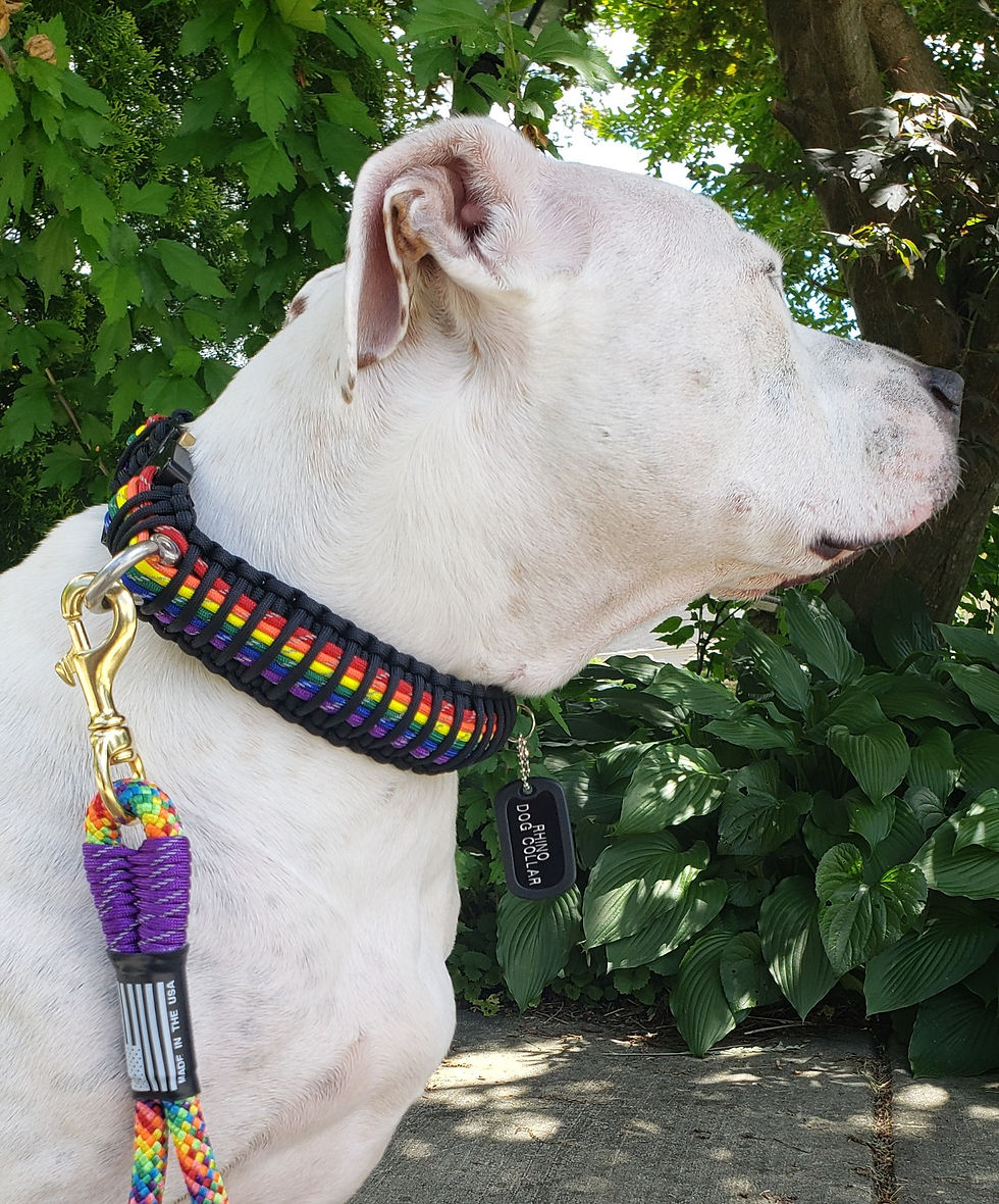Pride Collar