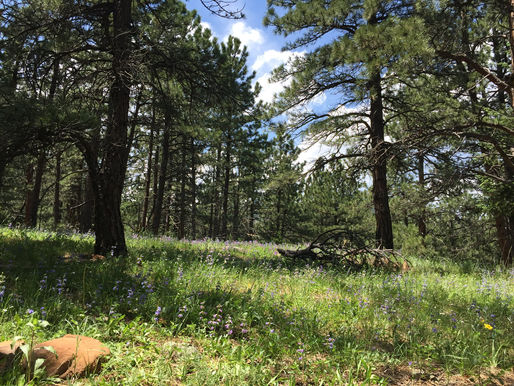 Outdoor Ethics - Leave No Trace