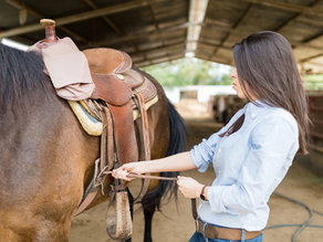 Jeune femme ajuste la sangle d’un cheval sellé dans une écurie couverte, ambiance calme.