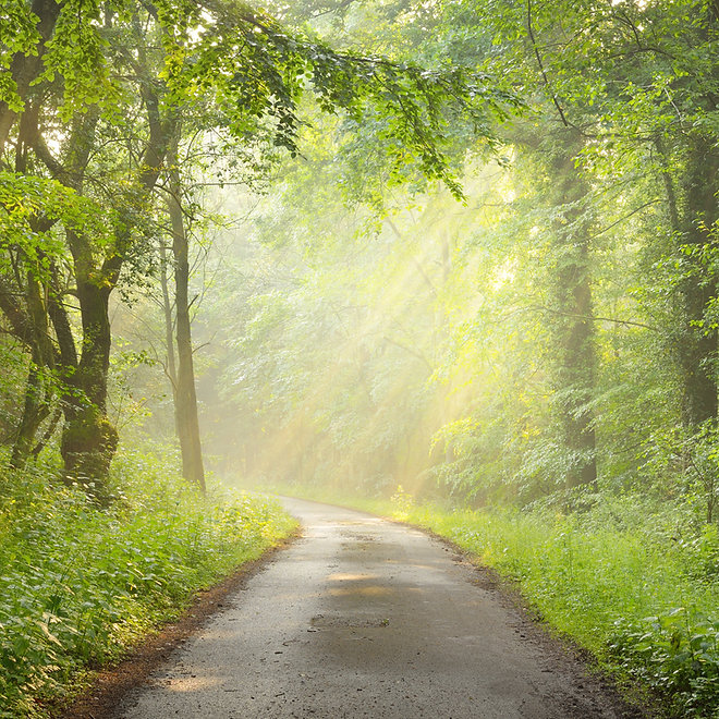 AdobeStock_430186758.jpeg