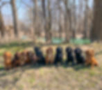 Facetune_17-04-2025-12-44-02.jpg