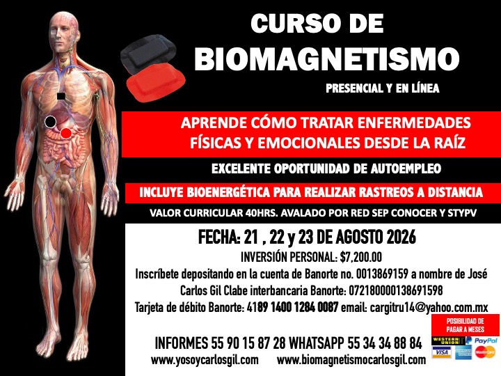 CURSO BIOMAGNETISMO AGOSTO 2026