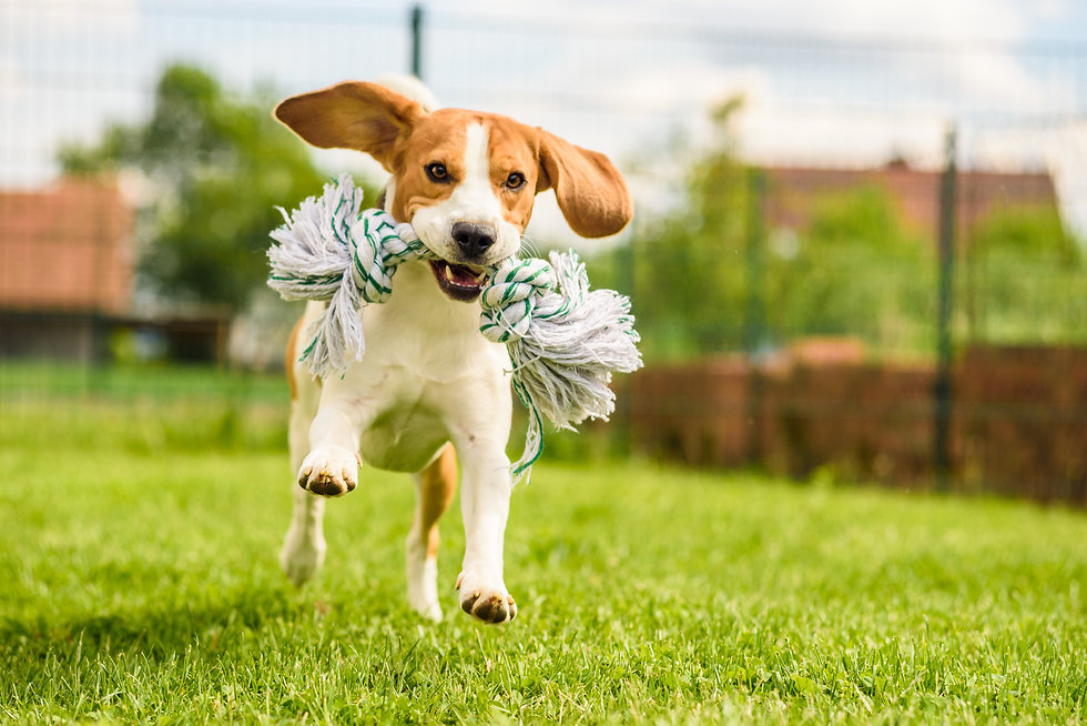 AdobeStock_185274335.jpeg