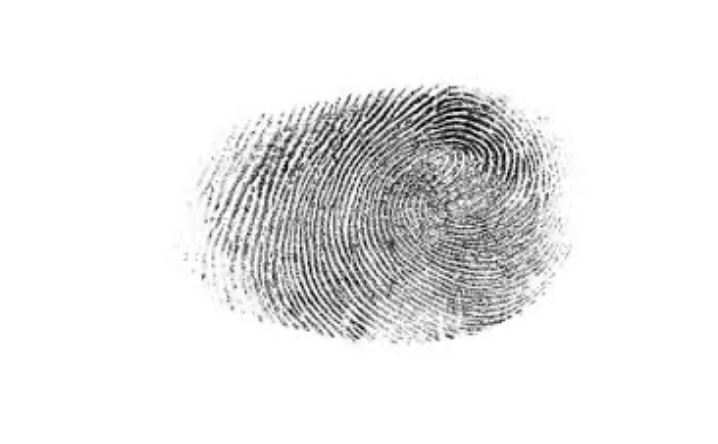 Tax Returns are Fingerprints of Your Integrity